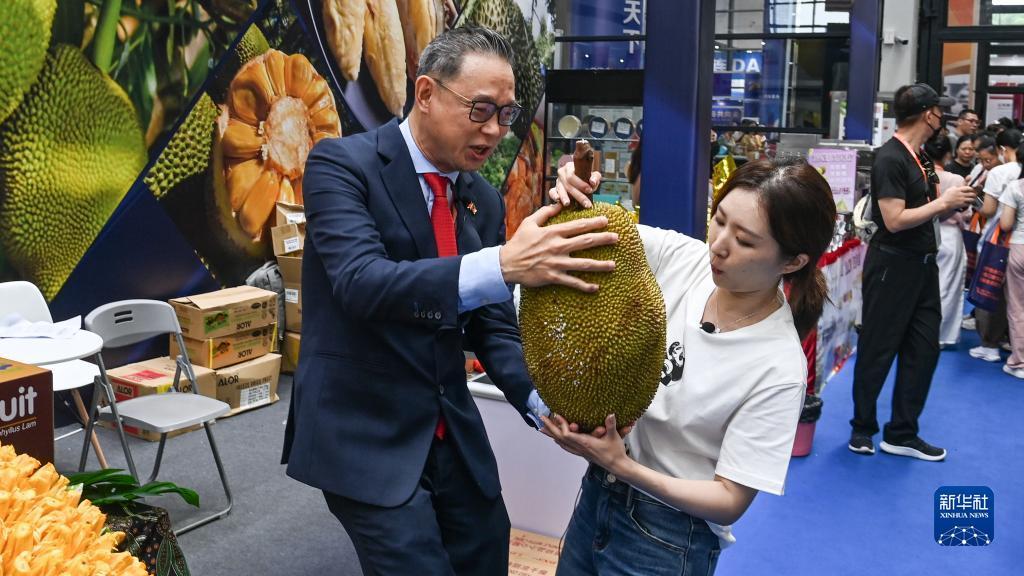 掌上十三水